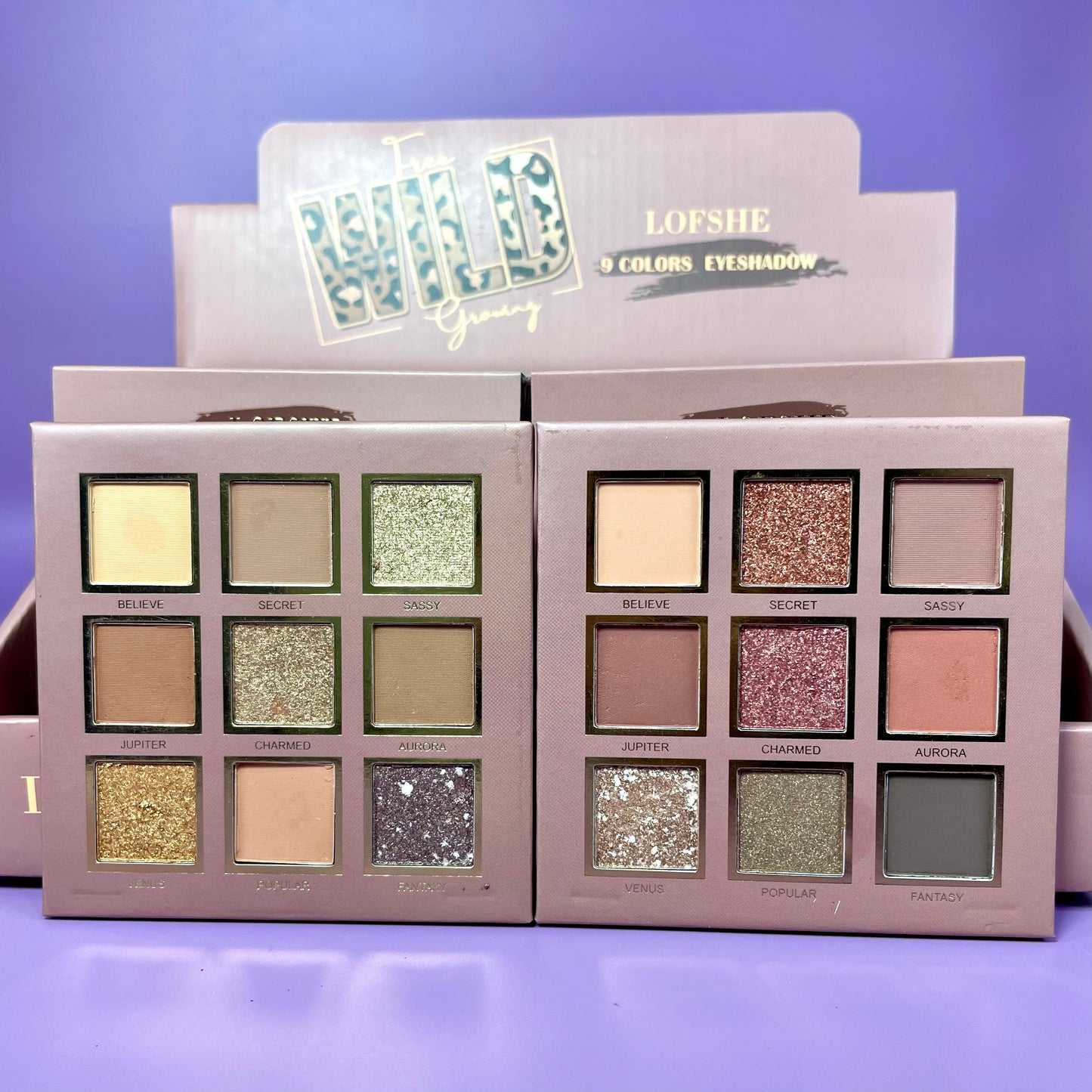 SOMBRA DE OJOS 9 TONOS LOFSHE REF:LF1038