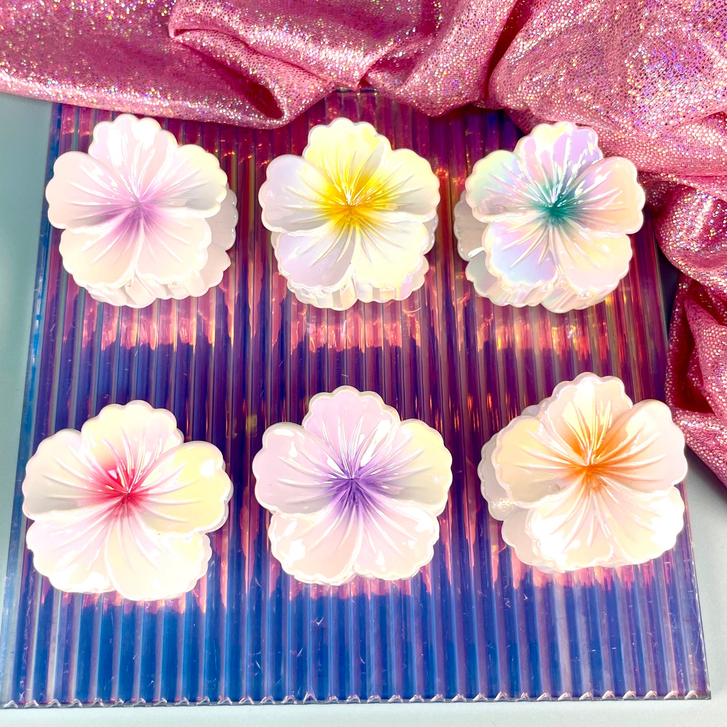 PINZA PARA CABELLO KITS*6 -4CM REF:XY2487