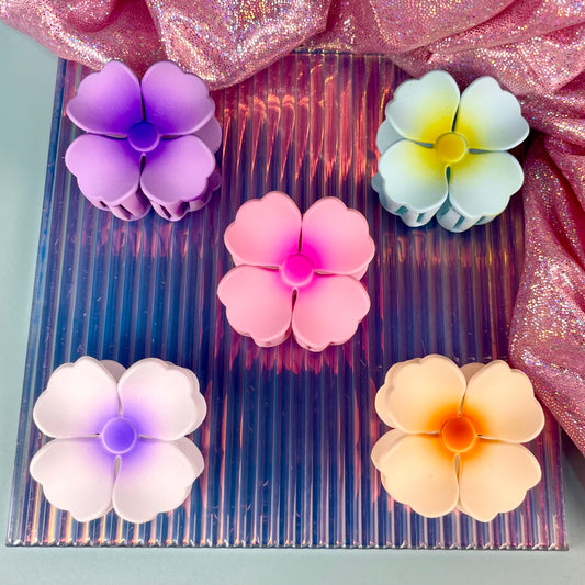 PINZA PARA CABELLO KITS*6 -4CM REF:XY2463