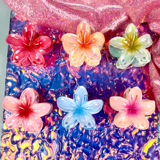 PINZA PARA CABELLO Kit*6 -4CM REF:XY2482