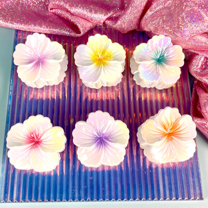 PINZA PARA CABELLO KITS*6 -4CM REF:XY2487