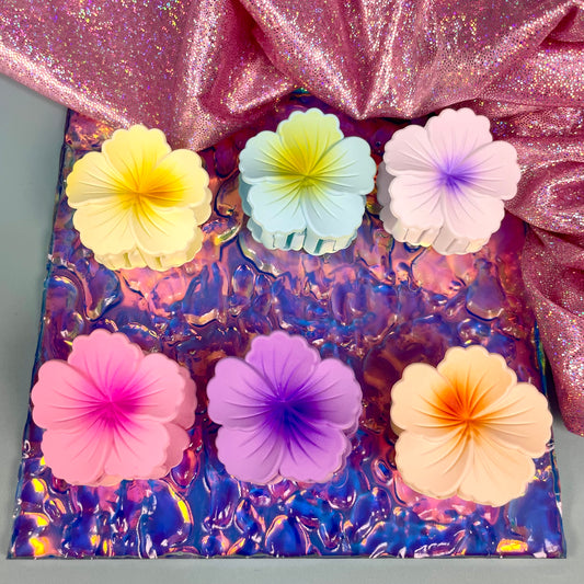 PINZA PARA CABELLO KIT*2 -4CM REF:XY2465